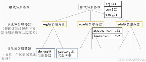 服務(wù)基礎(chǔ)第一階段第六節(jié) Windows系統(tǒng)管理基礎(chǔ)——DNS部署與安全，助力信息系統(tǒng)運(yùn)行維護(hù)服務(wù)